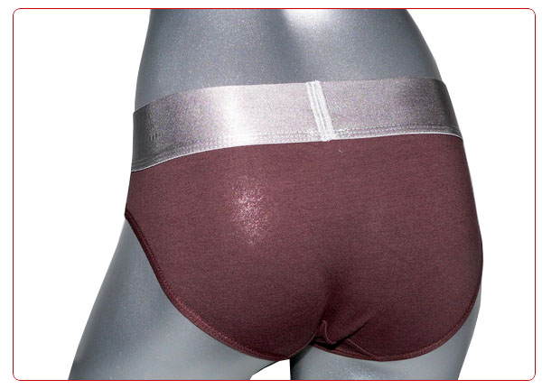 Slip Calvin Klein Mujer Steel Blateado Marron - Haga un click en la imagen para cerrar
