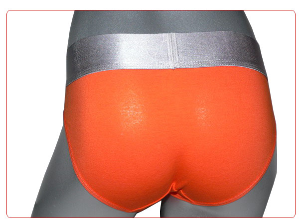 Slip Calvin Klein Mujer Steel Blateado Naranja - Haga un click en la imagen para cerrar