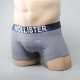 Boxer Hollister Hombre Azul y Gris