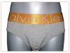 Slip Calvin Klein Hombre Steel Dolado Gris