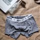 Boxer Hollister Hombre Blanco