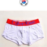 Boxer Calvin Klein Hombre Bandera Corea